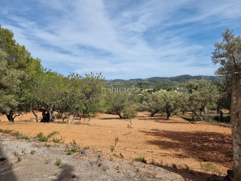 Foto 8e0fb4c3-d75c-4693-acec-7b45c3f9fe1e. Masía descubre tu paraiso finca con encanto a la venta en Tortosa