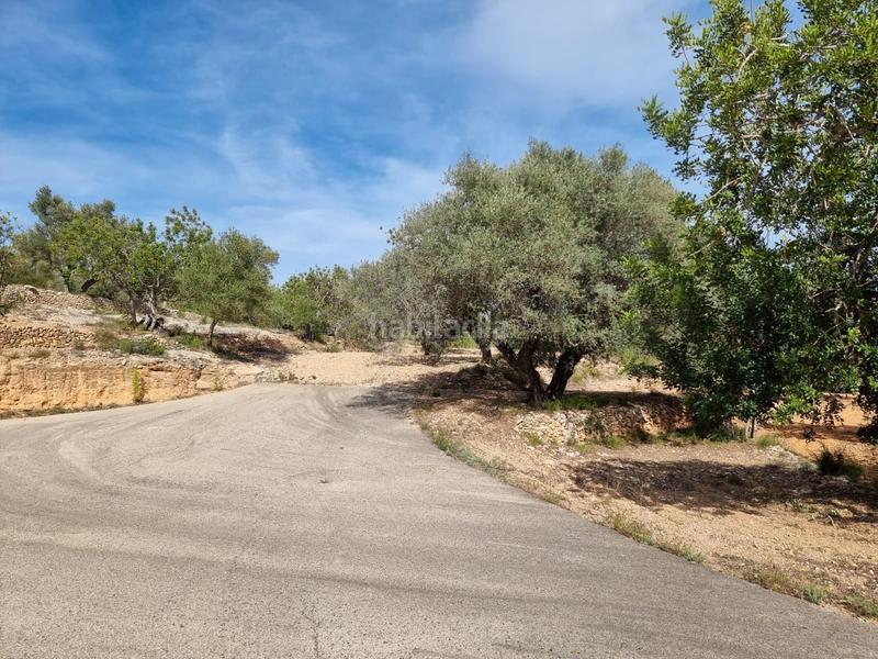 Foto 95be0d9f-7631-4d7c-8a9e-11f32bdcca33. Masía descubre tu paraiso finca con encanto a la venta en Tortosa