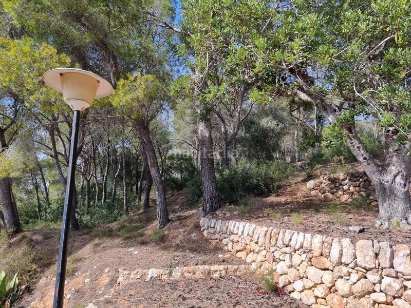 Foto 9816f5a7-0050-4393-846d-ed9e4501e738. Masía descubre tu paraiso finca con encanto a la venta en Tortosa