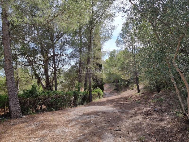 Foto dc753cdc-9484-426f-a8ad-1fbd2ed9d319. Masía descubre tu paraiso finca con encanto a la venta en Tortosa