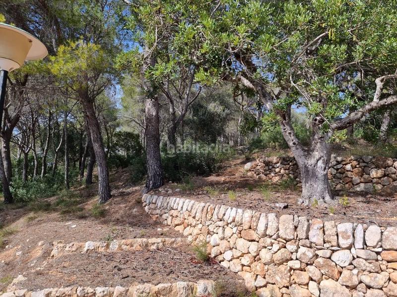 Foto f860dde2-1bec-4f28-b586-245f38a48983. Masía descubre tu paraiso finca con encanto a la venta en Tortosa