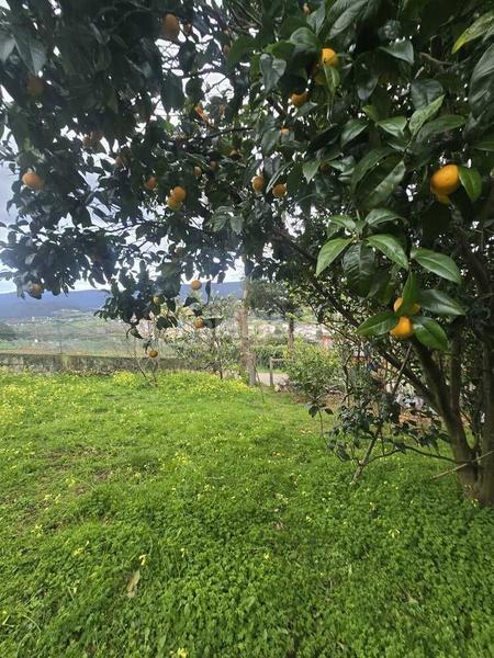 Foto 9f4ca0ca-7c80-4ee5-9e42-363058efb387. Residential plot in Cedeira