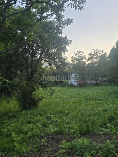 Foto 251fc376-bc2c-44c8-85f9-e914d8ee506c. Masia a Cedeira