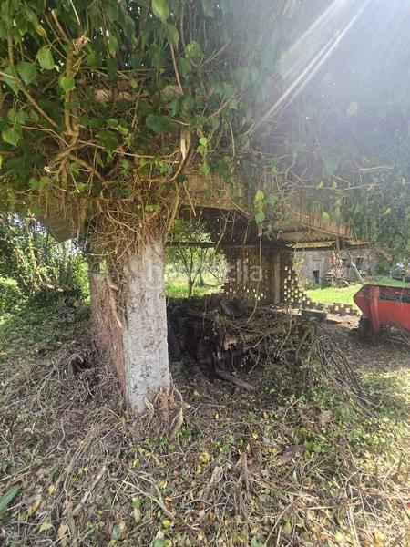 Foto a2c781aa-59da-4db3-9939-5d70c829449c. Masía casa de pueblo en entorno rural a coruña en Cerdido