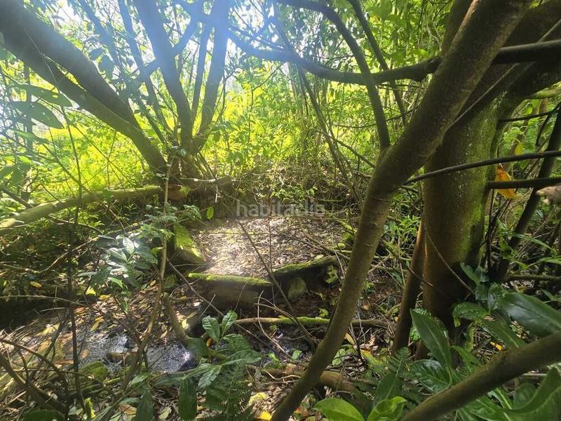 Foto a31942d1-f417-4b2e-8a69-12d36d9f6113. Bauernhof in Cerdido