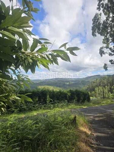 Foto 88cd95a9-f35a-43c8-a085-5bbeabd3023a. Mas dans Somozas (As)