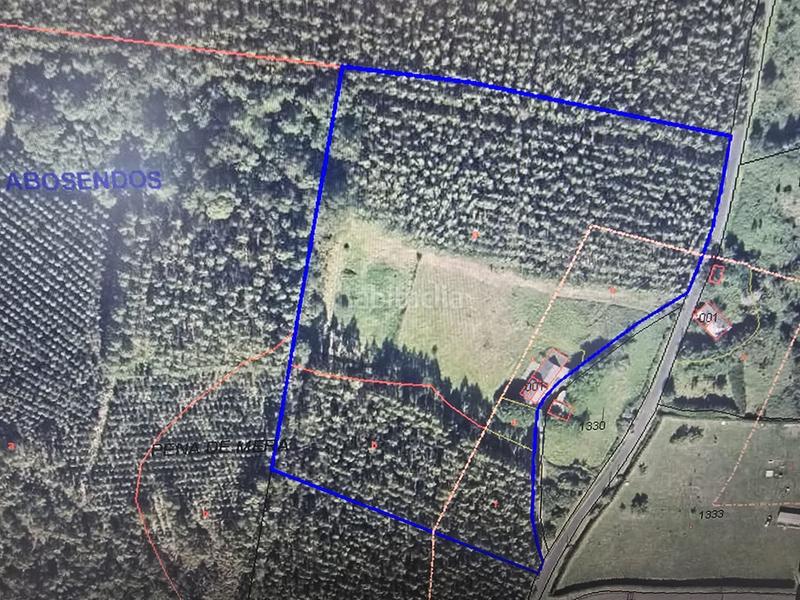 Foto cf940af3-b92a-4533-be9e-3a22b58e739f. Mas dans Somozas (As)