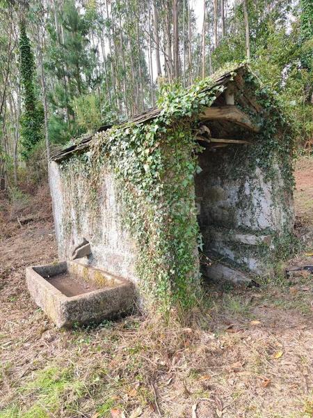 Foto 0cd34e93-e6e8-4ac9-b3da-7dbe1b9c15ee. Mas dans Somozas (As)