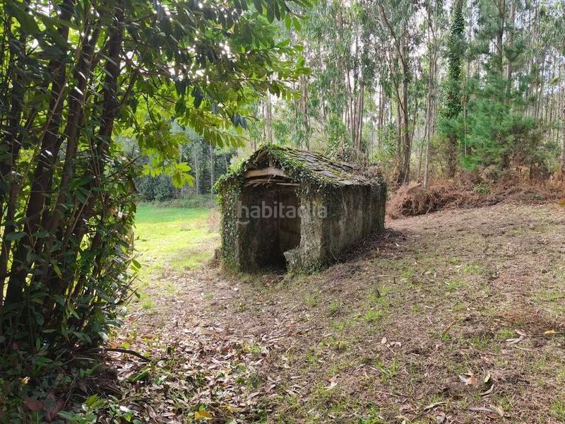 Foto 553a7060-5d1d-4403-8683-6cf3aa2046b4. Masia a Somozas (As)