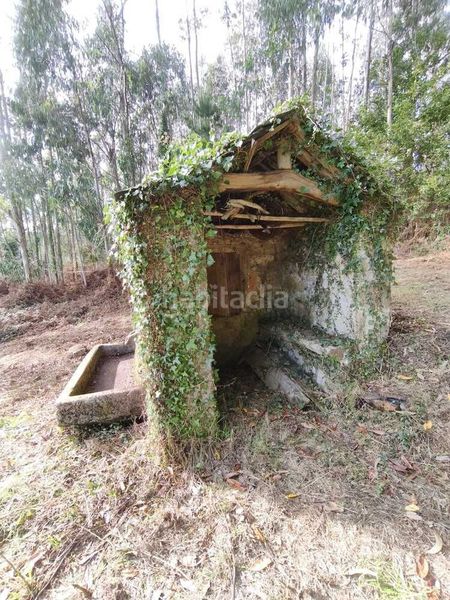 Foto 79fa8e7b-da71-4367-a47d-a60079e1567d. Masia a Somozas (As)