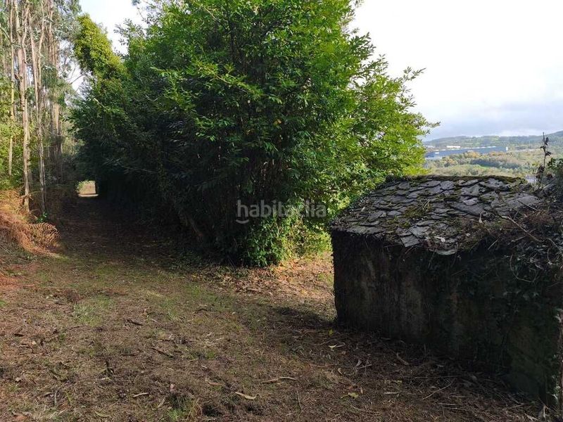 Foto 9e1b25fa-d9b3-4275-808d-49210ccabd96. Masia a Somozas (As)