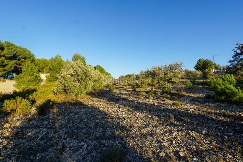 Foto 4233aae3-051c-448b-847e-7477fa1e2bb6. Masia amb aparcament a Ibi