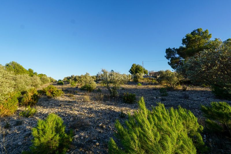 Foto a164f242-a67f-4e76-8316-c40ea1e93342. Masia amb aparcament a Ibi
