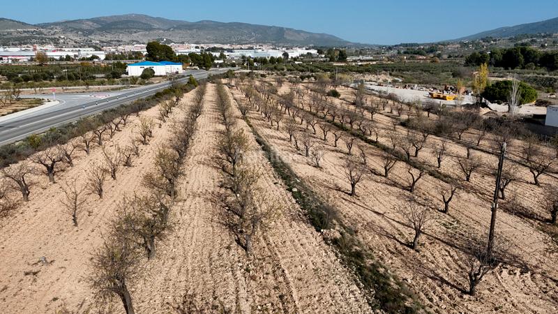Foto 12534987-b657-4526-ae1e-4468875af0a1. Rural plot in partida alfas 41 in Ibi
