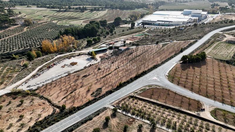 Foto 400ddfd0-63ff-48d6-9fa9-ca9a6bd9fe8d. Rural plot in partida alfas 41 in Ibi