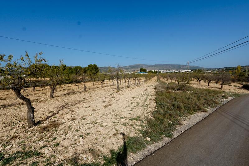 Foto 92f4ba39-d861-452d-a0f9-f2f5da3cba1c. Rural plot in partida alfas 41 in Ibi