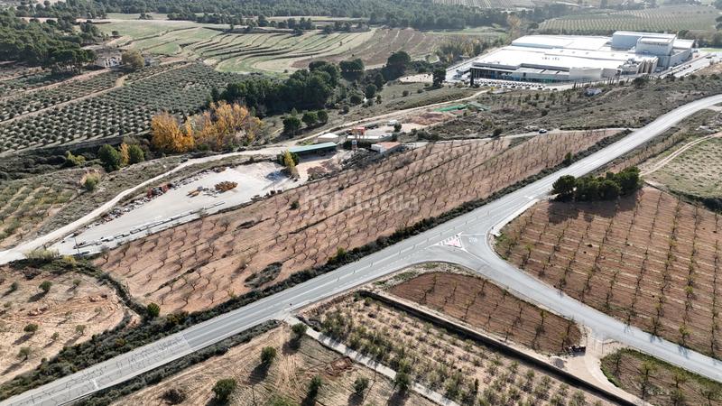 Foto d194c4ad-807e-45b0-ae2f-c7ffd5cdd45b. Rural plot in partida alfas 41 in Ibi