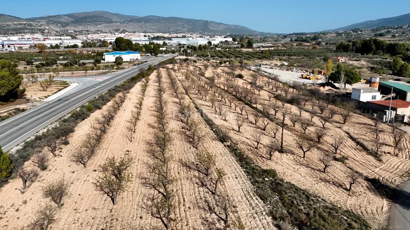 Foto f19f2f60-a430-4f10-ab0f-c86716a466f3. Rural plot in partida alfas 41 in Ibi