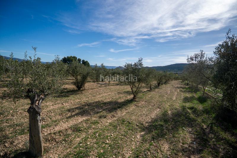 Foto 2ec2871a-b275-4082-9c7e-bd33ce268f8a. Rural plot in Onil