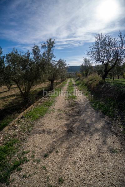 Foto 356f686c-6a3e-4f08-a8dd-4a7421d470a7. Rural plot in Onil
