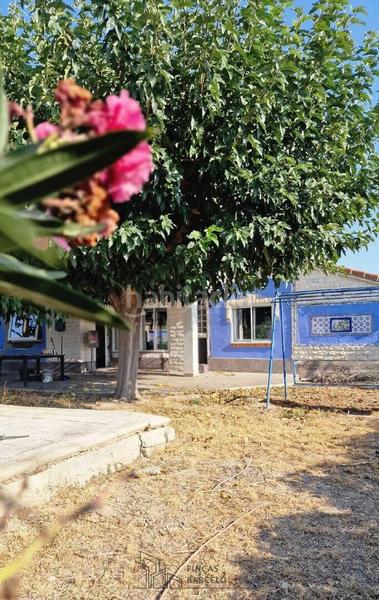 Foto 82c8e1fd-e46b-4cb9-b680-772281b8f4c1. Chalet in Burgo de Ebro (El)