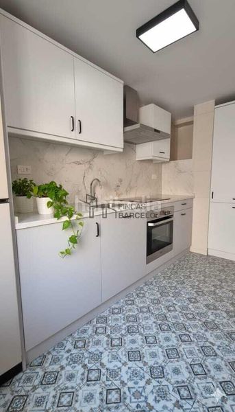 Foto 841edc1a-01af-466a-ac0c-3ceef36f0cf6. Pis a San José Zaragoza