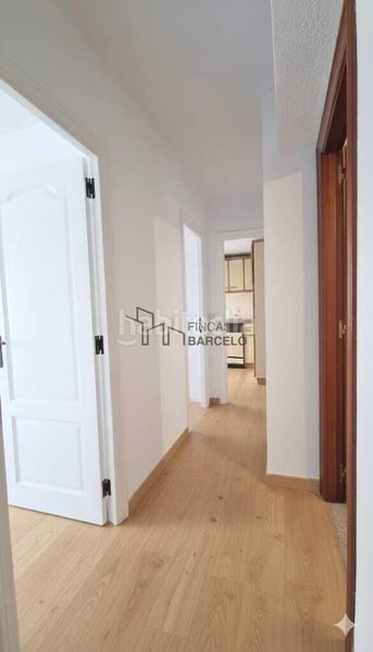 Foto 8e581797-a616-4cb6-90e3-be04a8f9ab21. Pis a San José Zaragoza