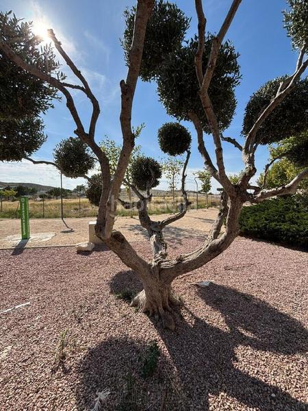 Foto 34f538ed-1c8e-410b-b08b-b14fbcaebac4. Maison jumelée dans Cuarte de Huerva