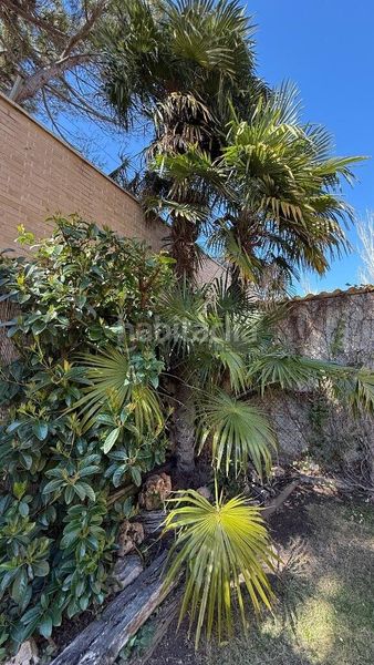 Foto b4a680bf-a23e-43c1-9932-1e0bb981d003. Casa adossada a Casablanca Zaragoza