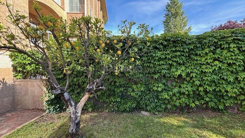 Foto ebd9d7a9-0a9e-4e25-b2ee-c4d45ec17ff5. Casa adossada a Casablanca Zaragoza