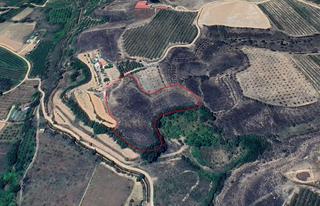 Residential Plot  Paracuellos de jiloca