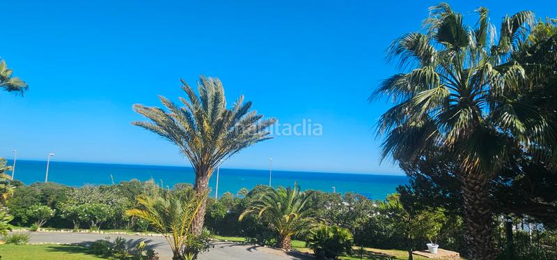 Foto 026bc661-7ff5-4420-929c-dcb0c2986f41. Affitto piccolo appartamento in avenida de rota 82 in Mijas