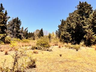 Terreno residencial en Sotoserena. Amplio terreno en estepona este