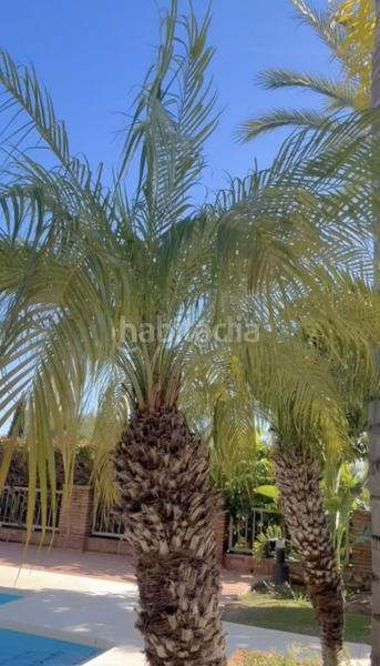 Foto ab904a34-f577-4b42-9fcc-69dd126cb519. Apartament amb aparcament piscina a Los Flamingos Benahavís