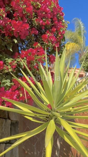 Foto f7f532db-e839-4d0f-b776-d3f3ab0fad0f. Apartament amb aparcament piscina a Los Flamingos Benahavís