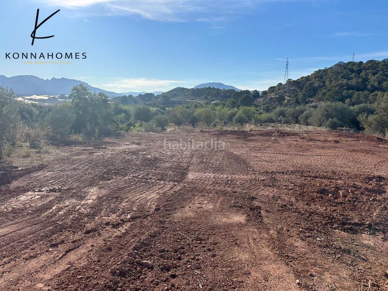 Foto d242ee1a-d847-4f38-ba9a-0da09a7a896a. Fondo rustico in Finestrat pueblo Finestrat