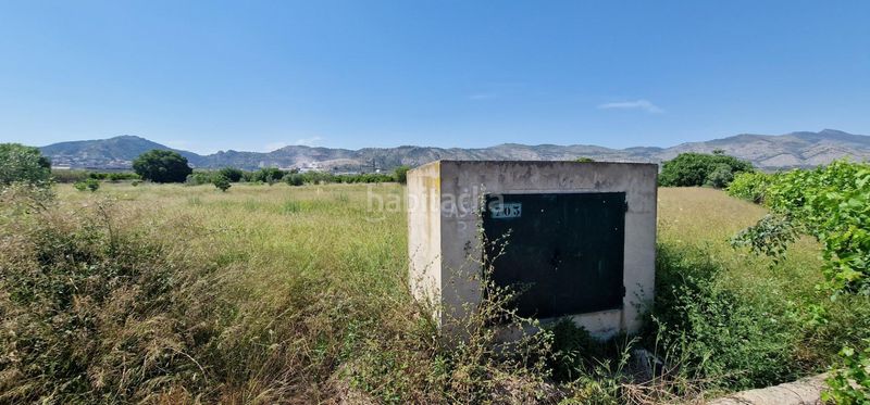 Foto 564b3fba-7ab3-48c1-8278-3cc92b2059f8. Finca rústica a Casco Histórico Castellón de la Plana