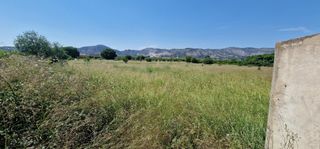 Finca rústica a Casco Histórico. Huerto a un paso de castellón
