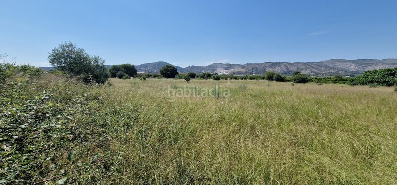 Foto b19ab5fd-de17-4929-a650-53dedf03f4ea. Finca rústica a Casco Histórico Castellón de la Plana