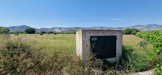 Finca rústica en Casco Histórico. Huerto a un paso de castellón