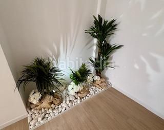 Foto 54e55b5a-df95-43b2-81af-cce524e103e4. Pis a Centro Burriana