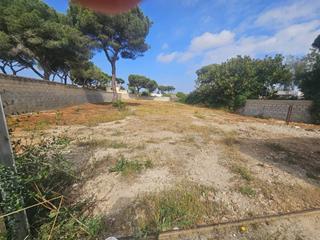 Terreny residencial  Del alerce. Parcela en venta en rana verde