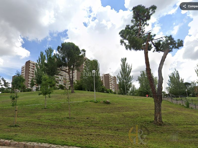 Foto d6d412e2-19c8-4ad7-a78b-875653ce2d29. Pis a Pilar Madrid