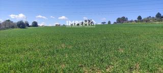 Finca rstica  Sant lloren dhortons-can esteve de la riera. Parcela agrcola en venta