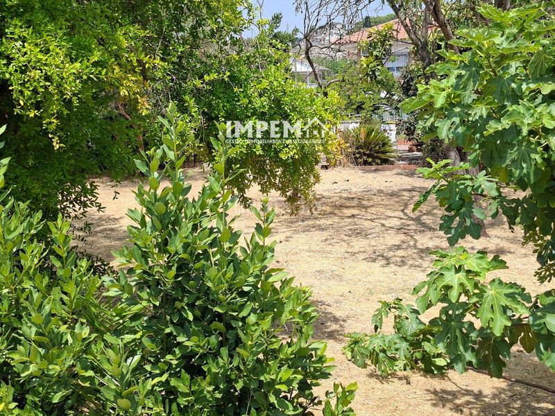 Foto a9a44a58-f6ec-41a8-8b24-0e82412f7fd6. Finca rústica a Masquefa