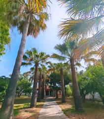 Xalet a Los Franceses - La Vega. Oportunidad única en chiclana! residencia con encanto andaluz