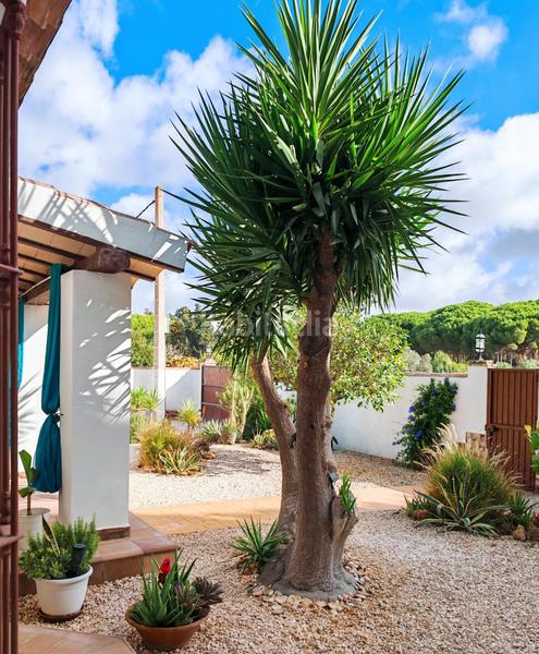 Foto 268ac72a-89d0-433c-96e3-2e5b52300b1e. Chalet mit parking in Las Lagunas - Campano Chiclana de la Frontera