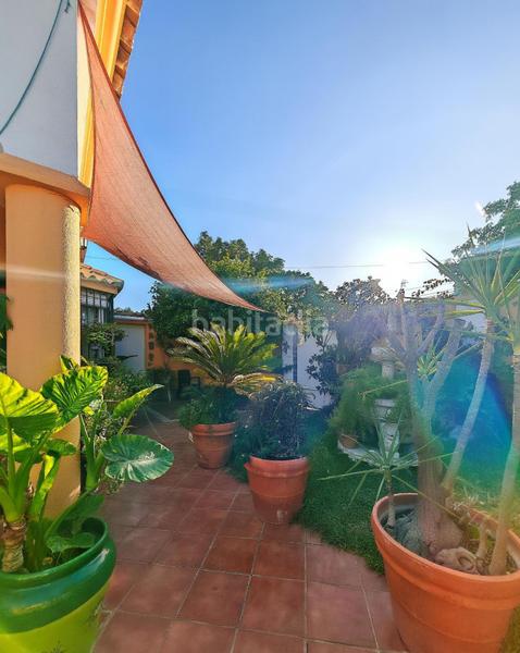 Foto d204fb35-9977-472e-9942-230c7bd97648. Xalet amb piscina a Los Gallos Chiclana de la Frontera