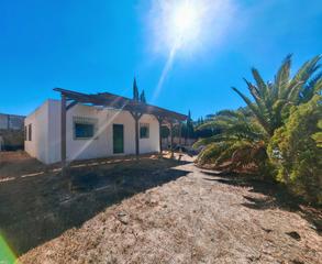 Masia a Barbate. San ambrosio, un secreto bien guardado para unos pocos privilegi