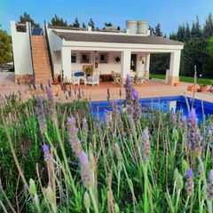Chalet in Pelagatos - Pago del Humo